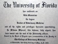 Doctor of Veterinary Medicine - The University of Florida